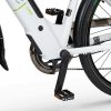Rower Ecobike X-Cross L White 2023