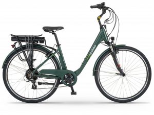 Ecobike Trafik green
