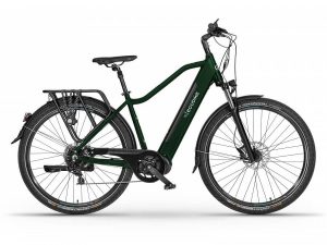 Rower Ecobike MX300 green 2023