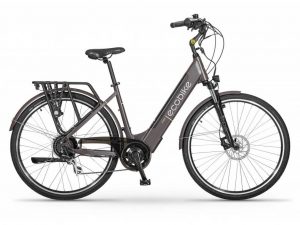 Rower Ecobike X-City Coffee V2 2022